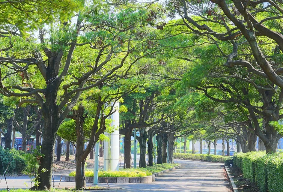 グッドタイム リビング 千葉みなと／駅前通の紹介写真 7