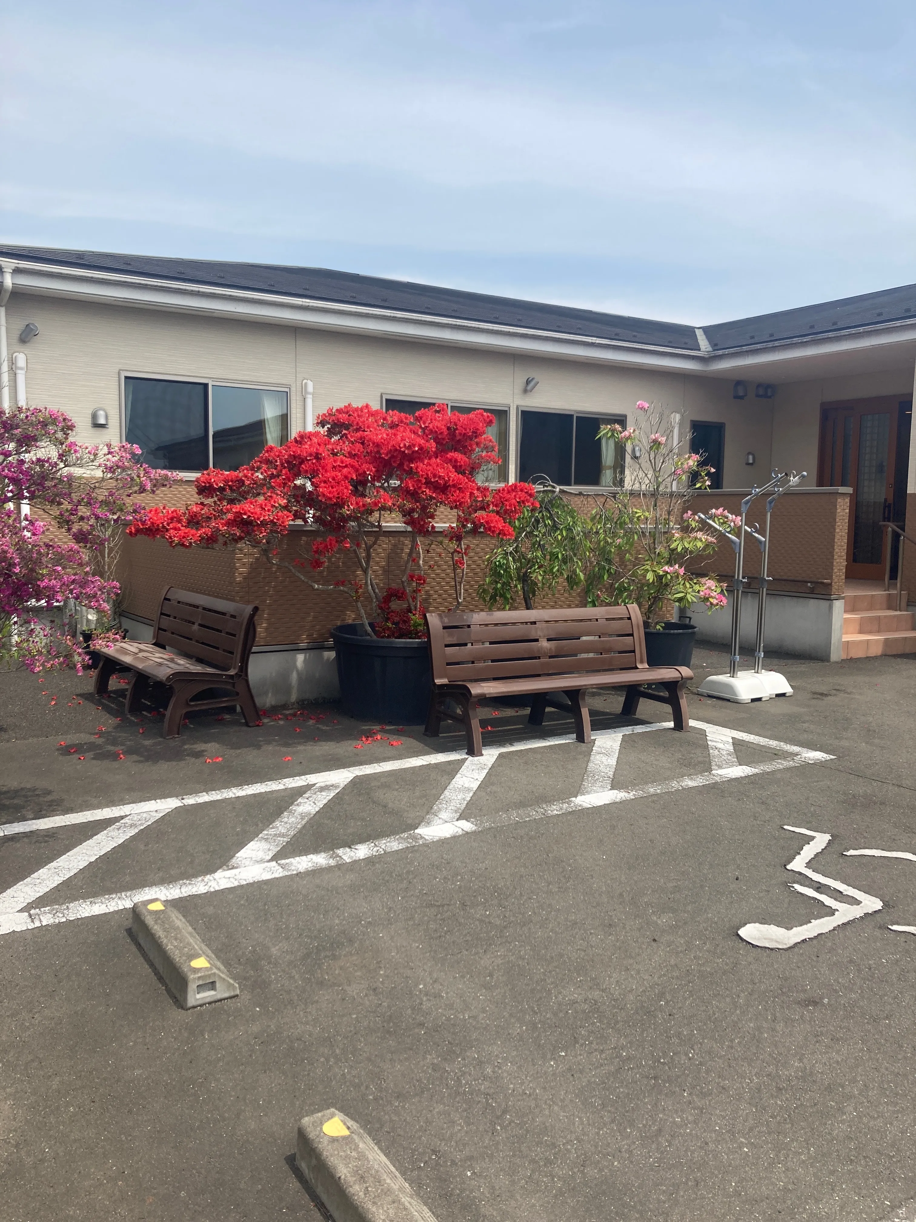 グループホーム山田の紹介写真 2