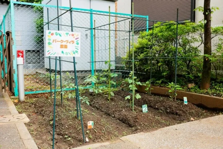 小金井パーク・ヴィラの紹介写真 7