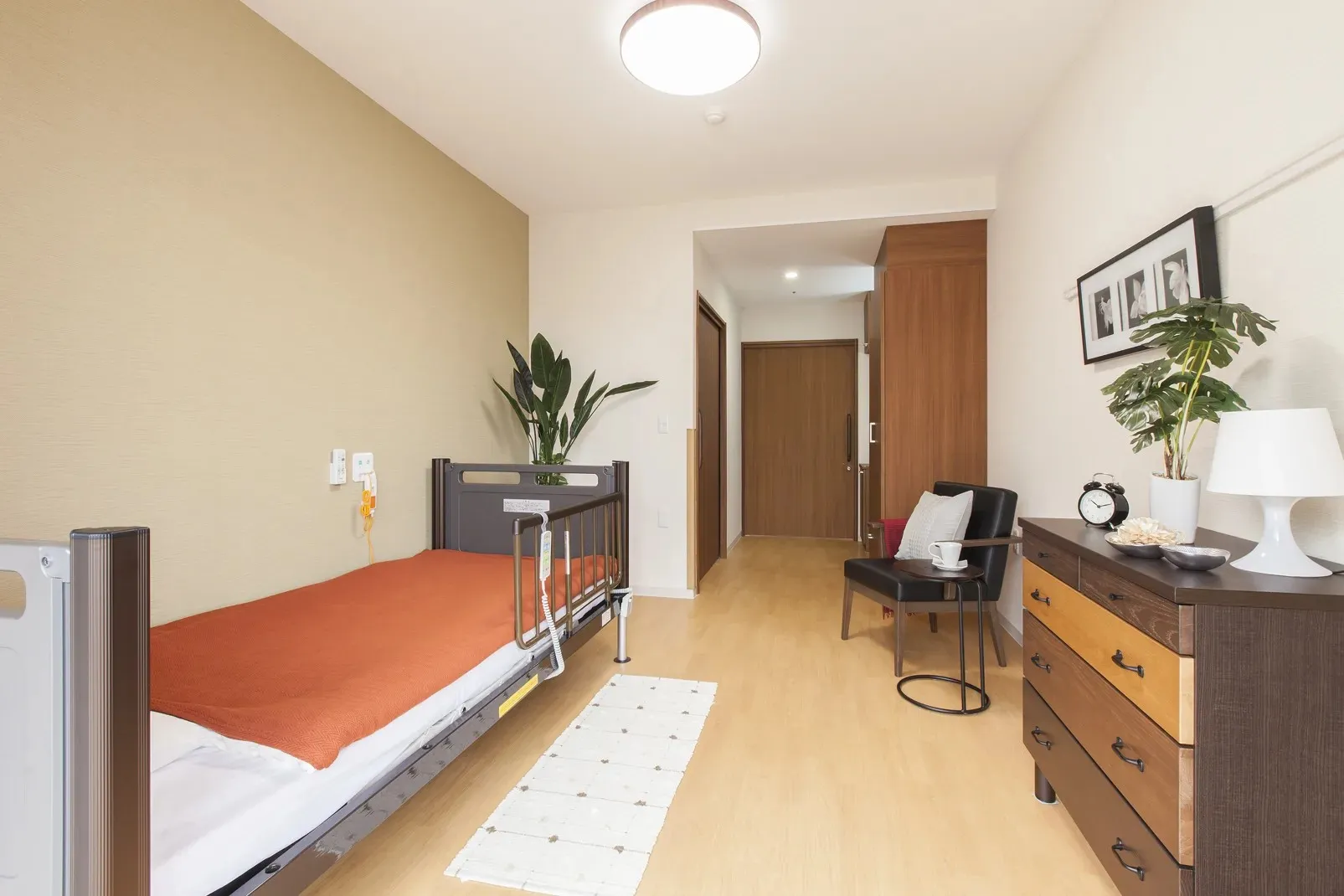 ドーミーときわ台の紹介写真 6