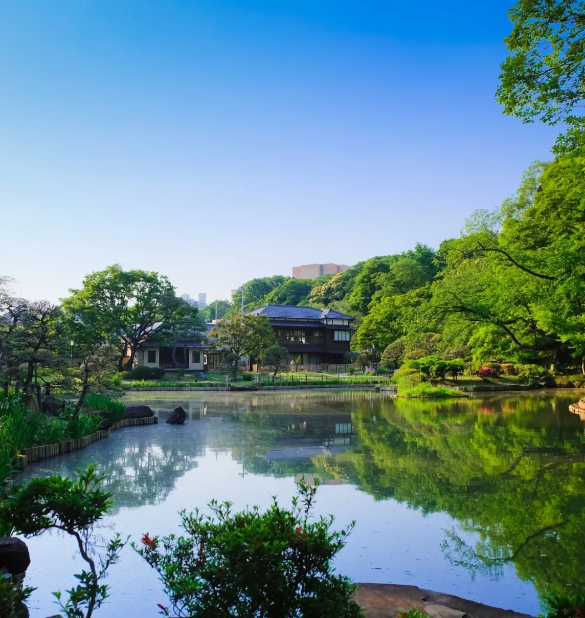 ドーミー目白台の紹介写真 7