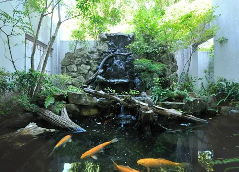 ラビアンローズ高槻の紹介写真 6