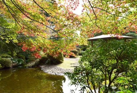 ガーデンテラス大宮公園の紹介写真 7