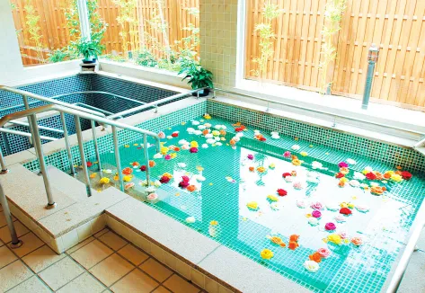 ロングライフ梶ヶ谷の紹介写真 7