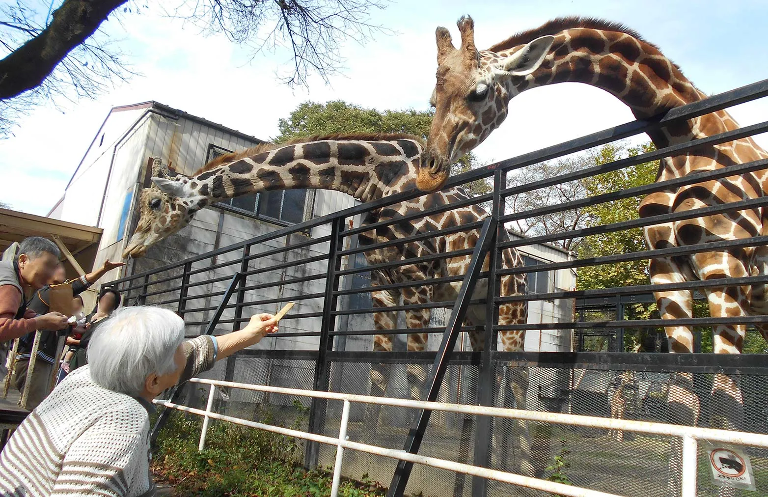あずみ苑 グランデ矢板の紹介写真 7