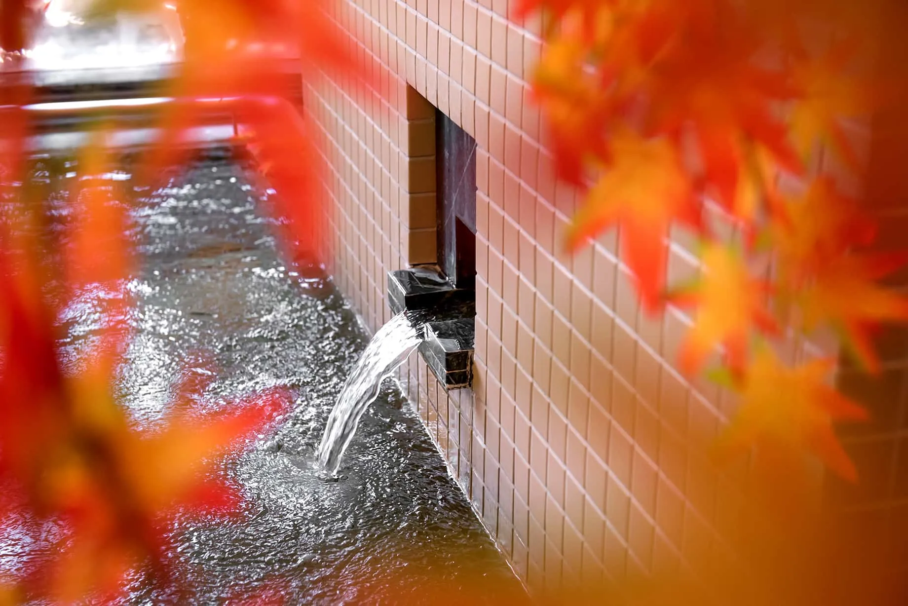 ドーミー相模原の紹介写真 2