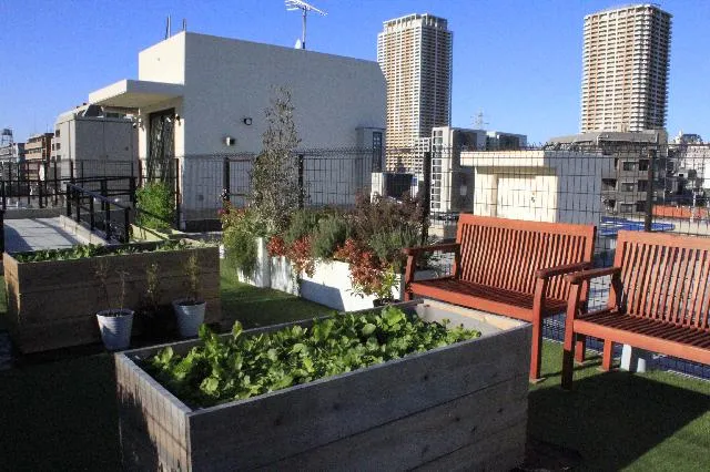 ルミエ市川の紹介写真 4