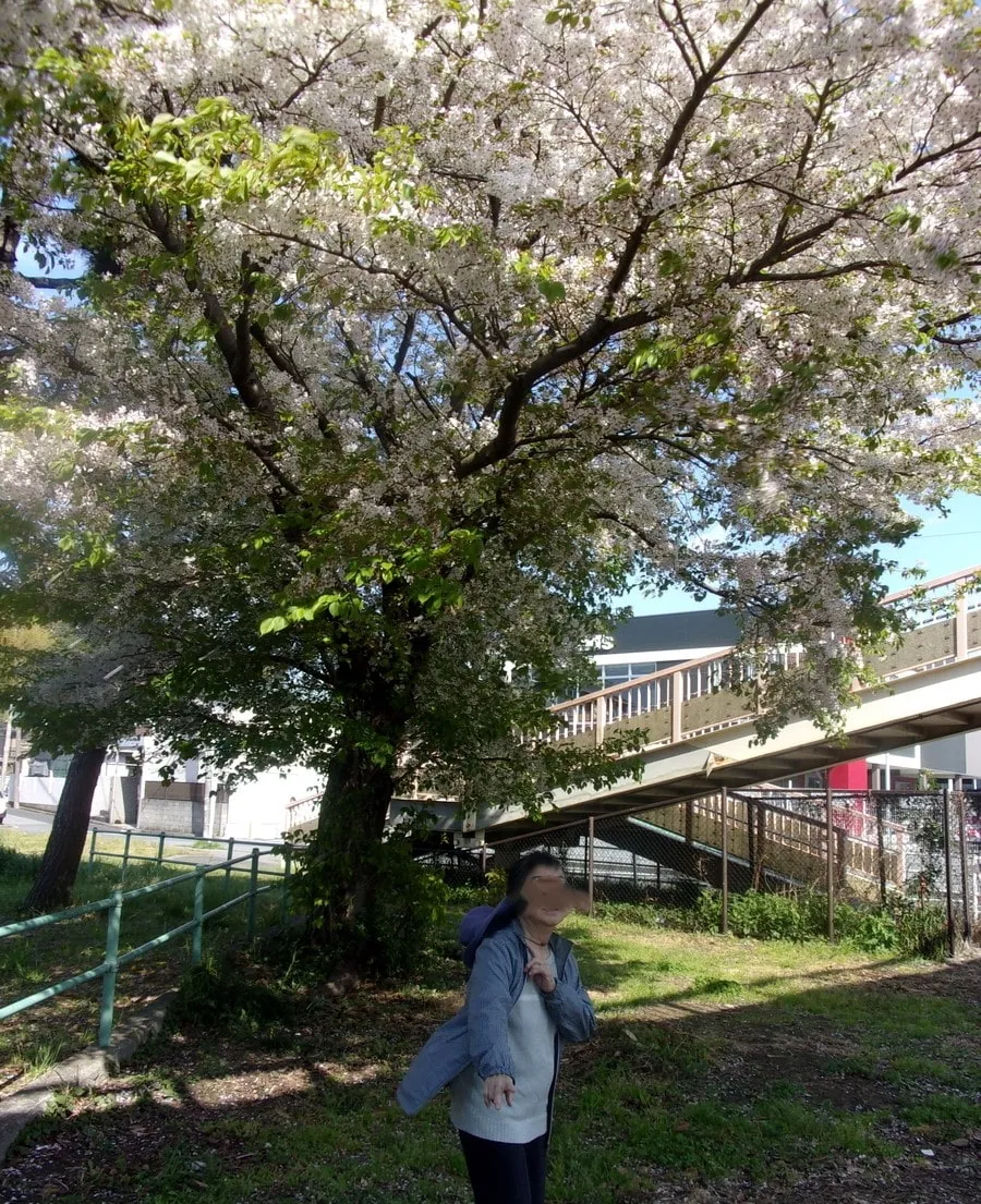 グループホーム　ガーデンコート幕張の紹介写真 6