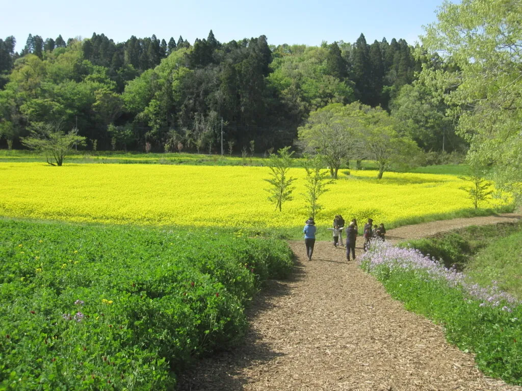 グループホーム　ガーデンコートちはら台の紹介写真 4