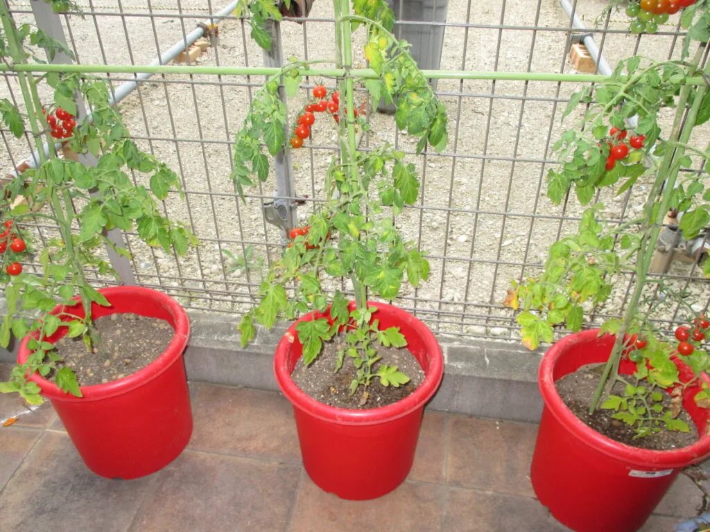 グループホーム　ガーデンコート西船橋の紹介写真 3