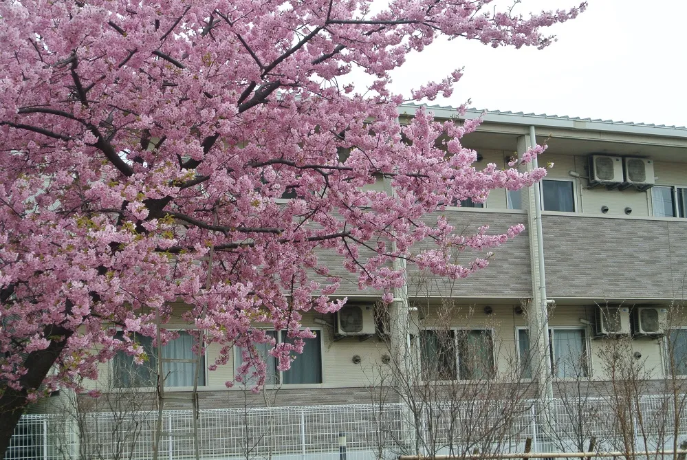 グループホーム　ガーデンコート西船橋の紹介写真 5