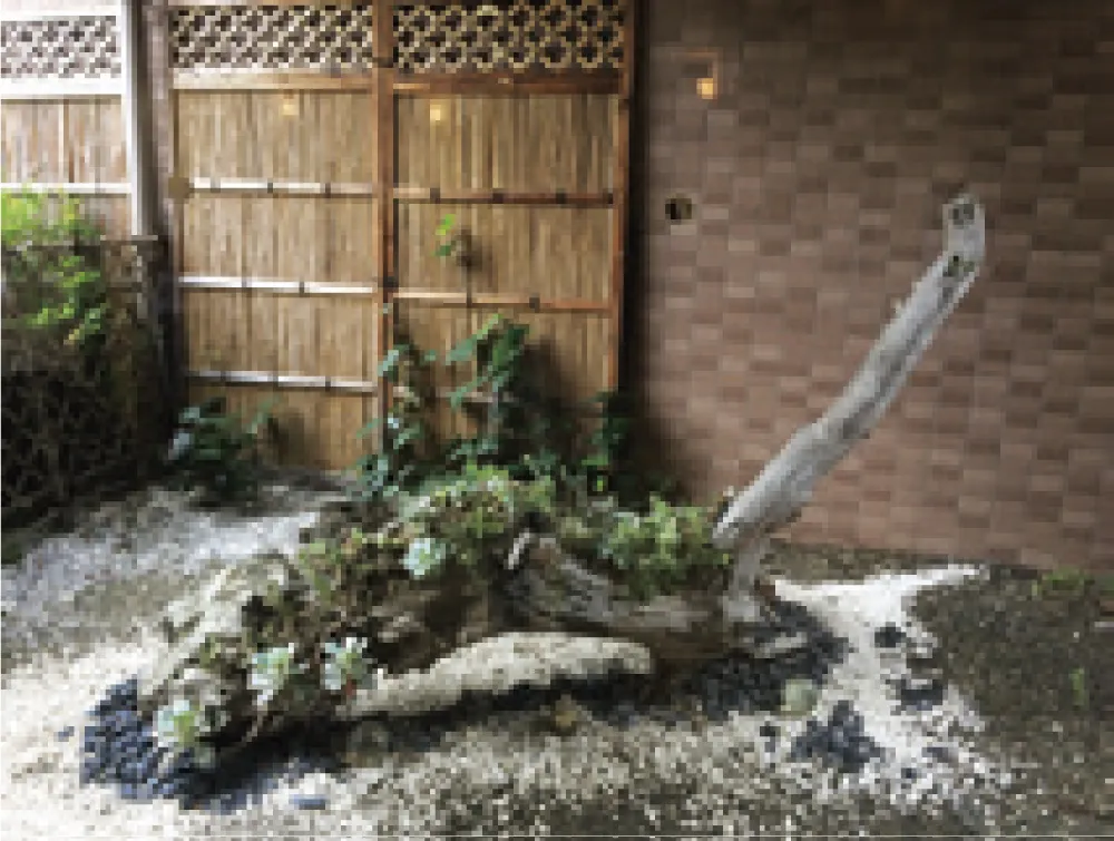 みつばメゾン与野本館の紹介写真 2