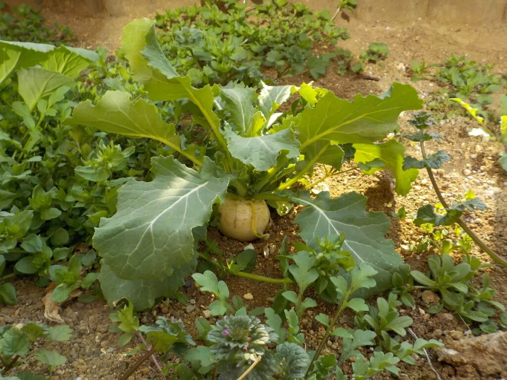 グループホーム　ハイムガーデン東川口の紹介写真 7