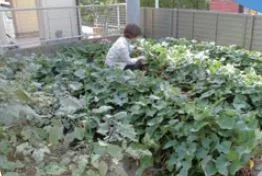 サービス付き高齢者向け住宅　ハイムガーデン熱田の紹介写真 5