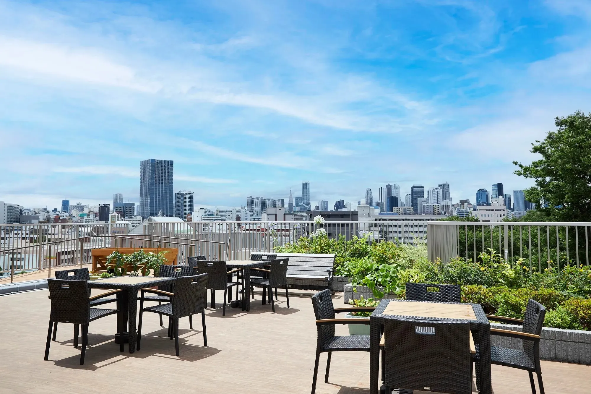 ソナーレ目白御留山の紹介写真 6