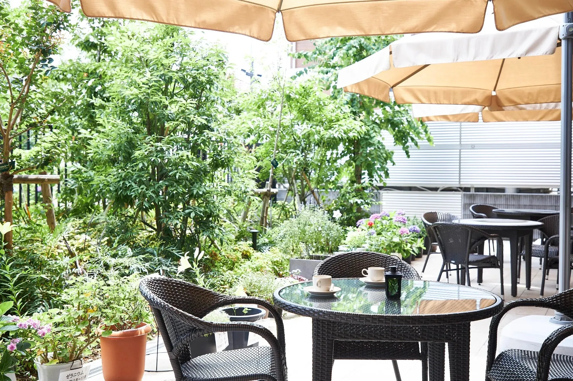 ソナーレ石神井の紹介写真 5