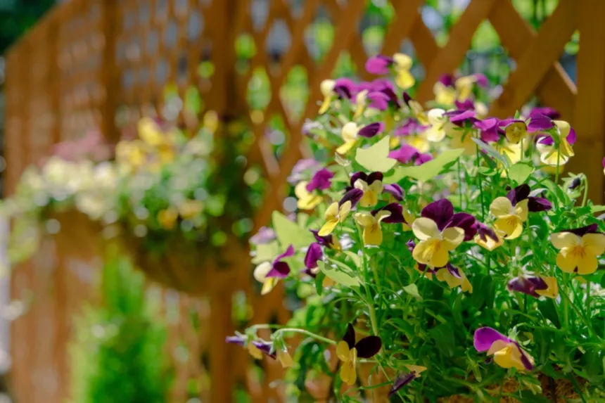 SOMPOケア そんぽの家Ｓ府中中河原の紹介写真 4