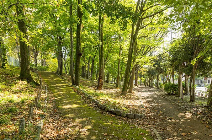 SOMPOケア ラヴィーレ羽村の紹介写真 5