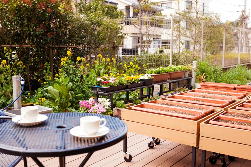 SOMPOケア そんぽの家　ときわ台の紹介写真 4