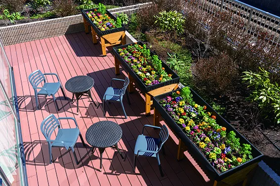 SOMPOケア ラヴィーレ堀之内の紹介写真 6