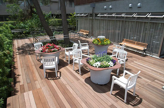 SOMPOケア ラヴィーレ南大泉の紹介写真 6