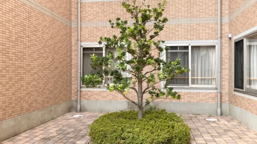 SOMPOケア そんぽの家　豊山の紹介写真 4