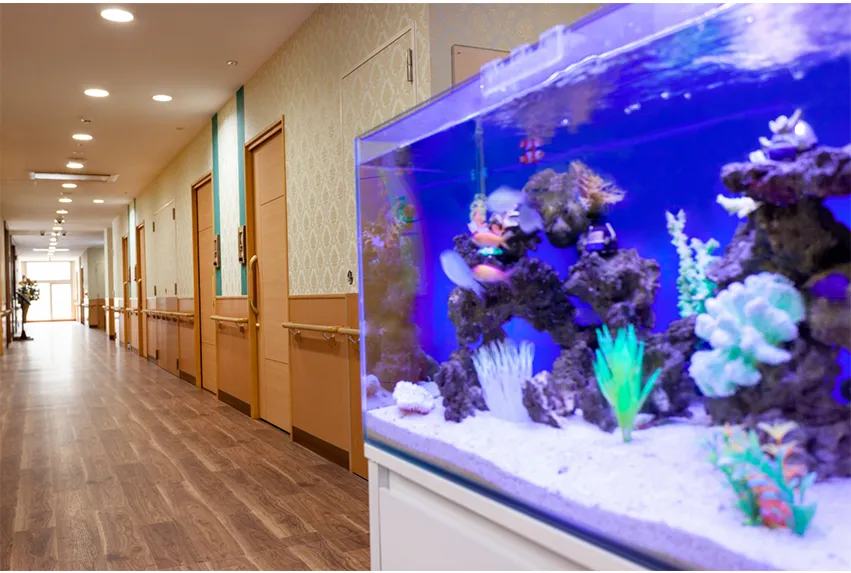 SOMPOケアラヴィーレ川崎の紹介写真 4