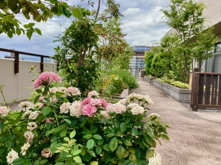 SOMPOケア ラヴィーレ平和公園の紹介写真 6