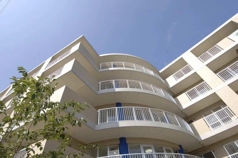 シーハーツ柏の紹介写真