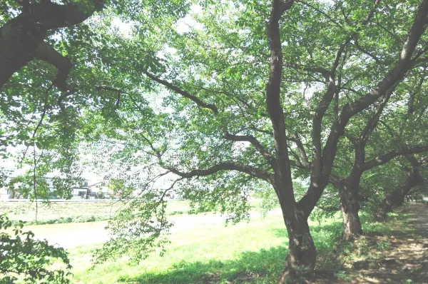 メディス北越谷の紹介写真 6