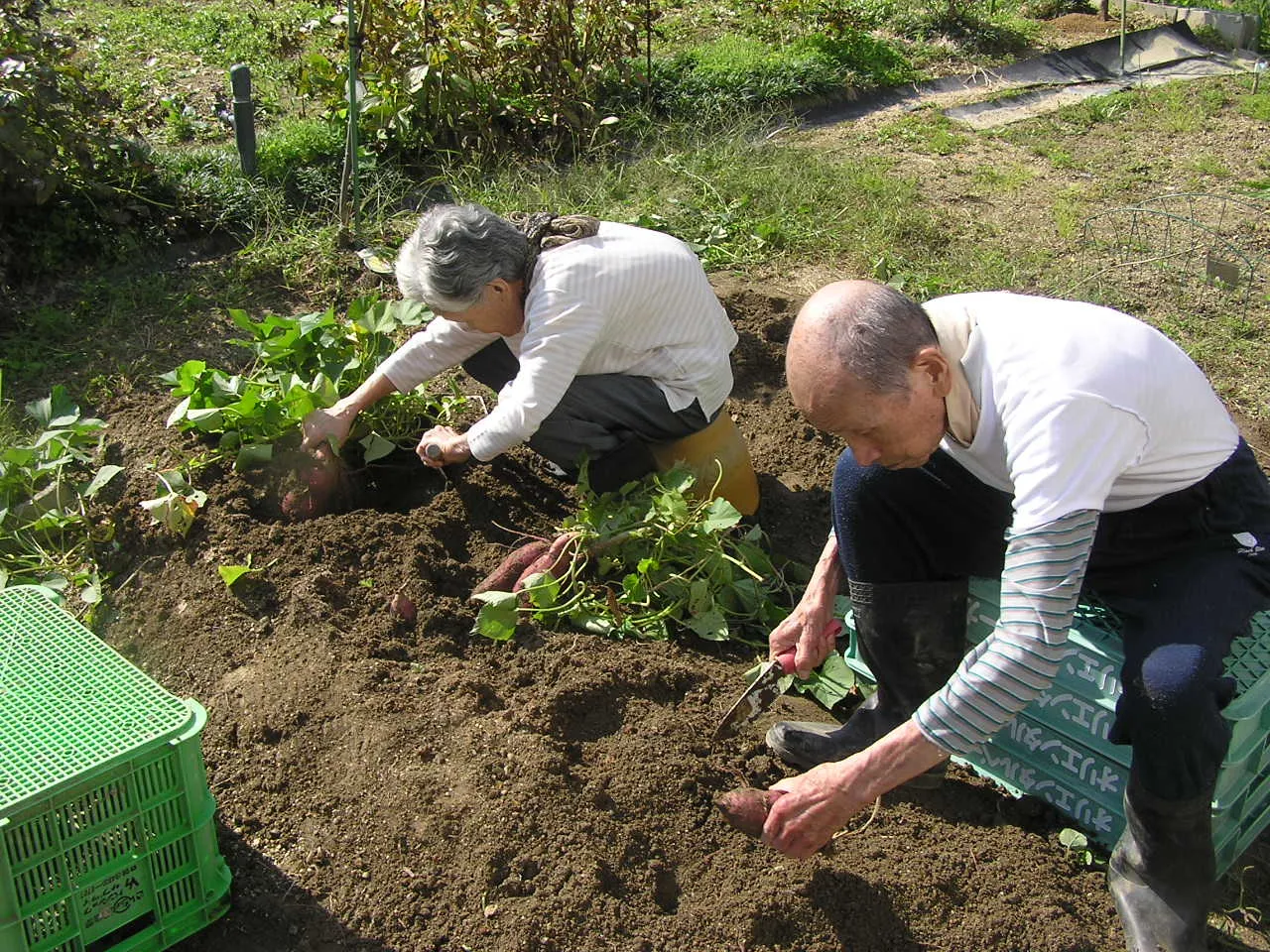 いこいの守・東住吉の紹介写真 3