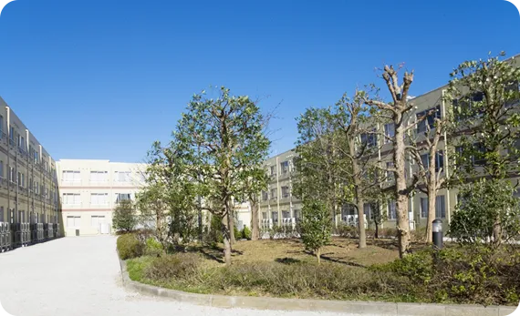 リブイン若葉の紹介写真 7