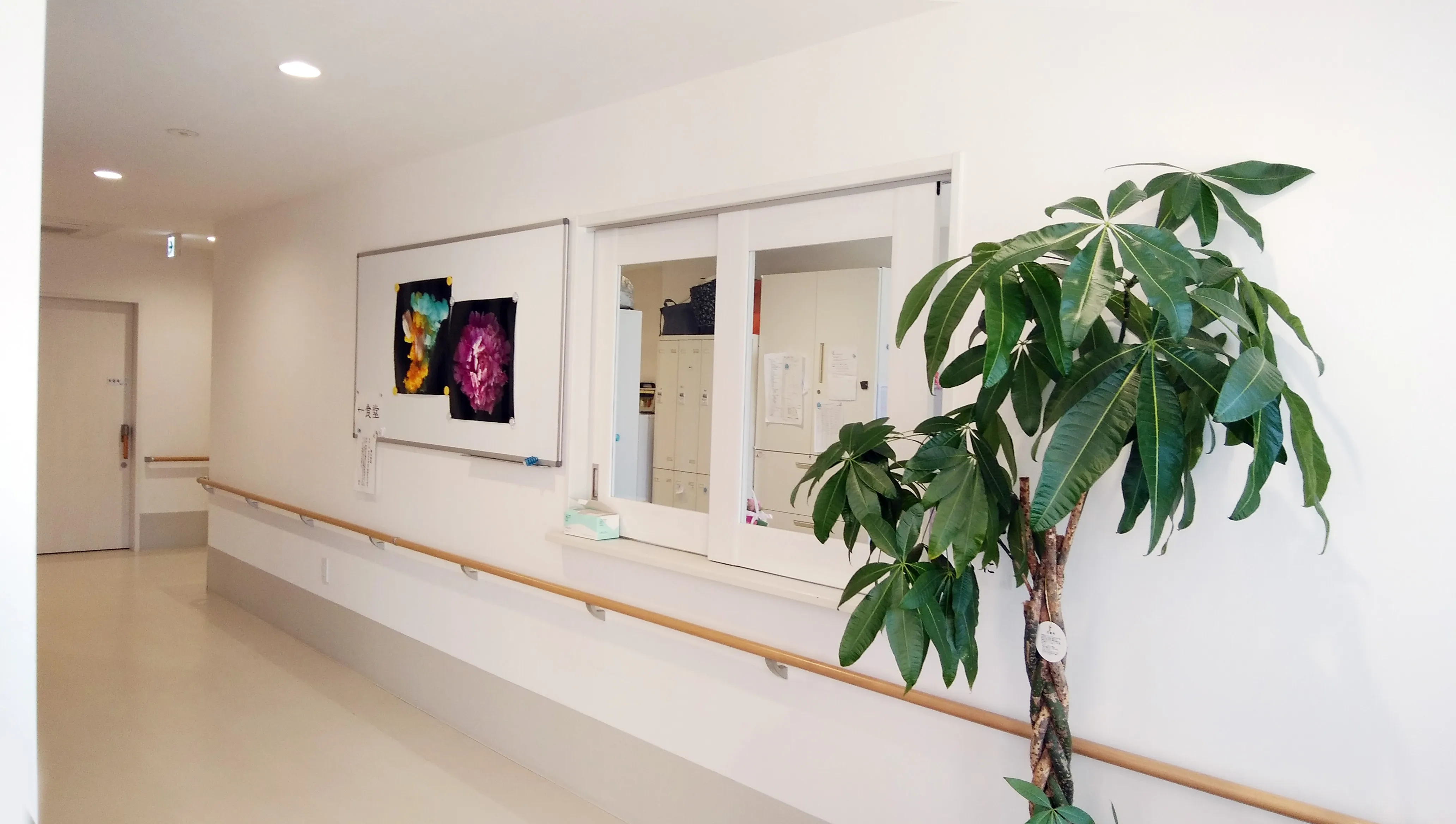 椿森有料老人ホームの紹介写真 2