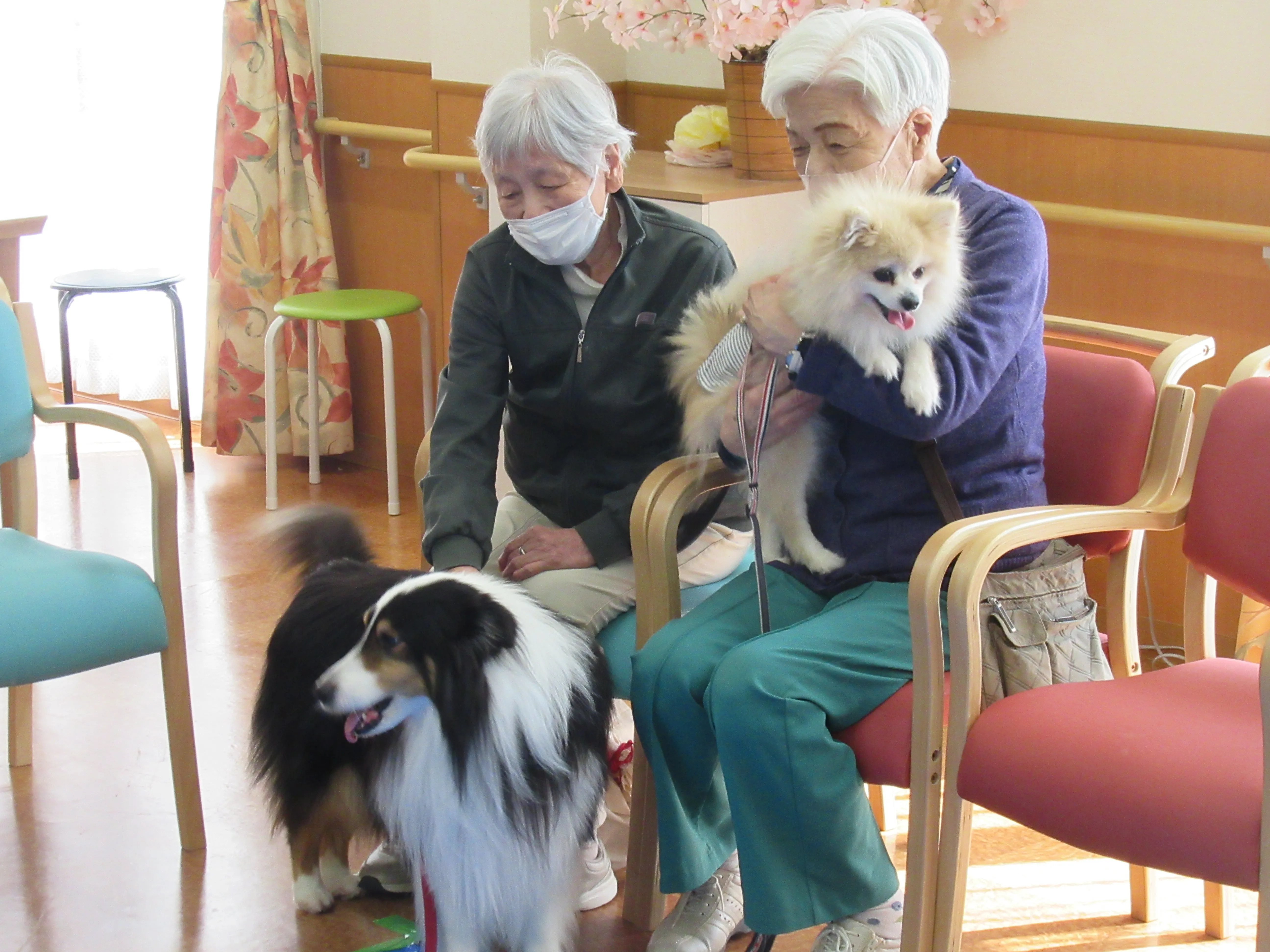 住宅型有料老人ホーム　やさしい手広野の紹介写真 7