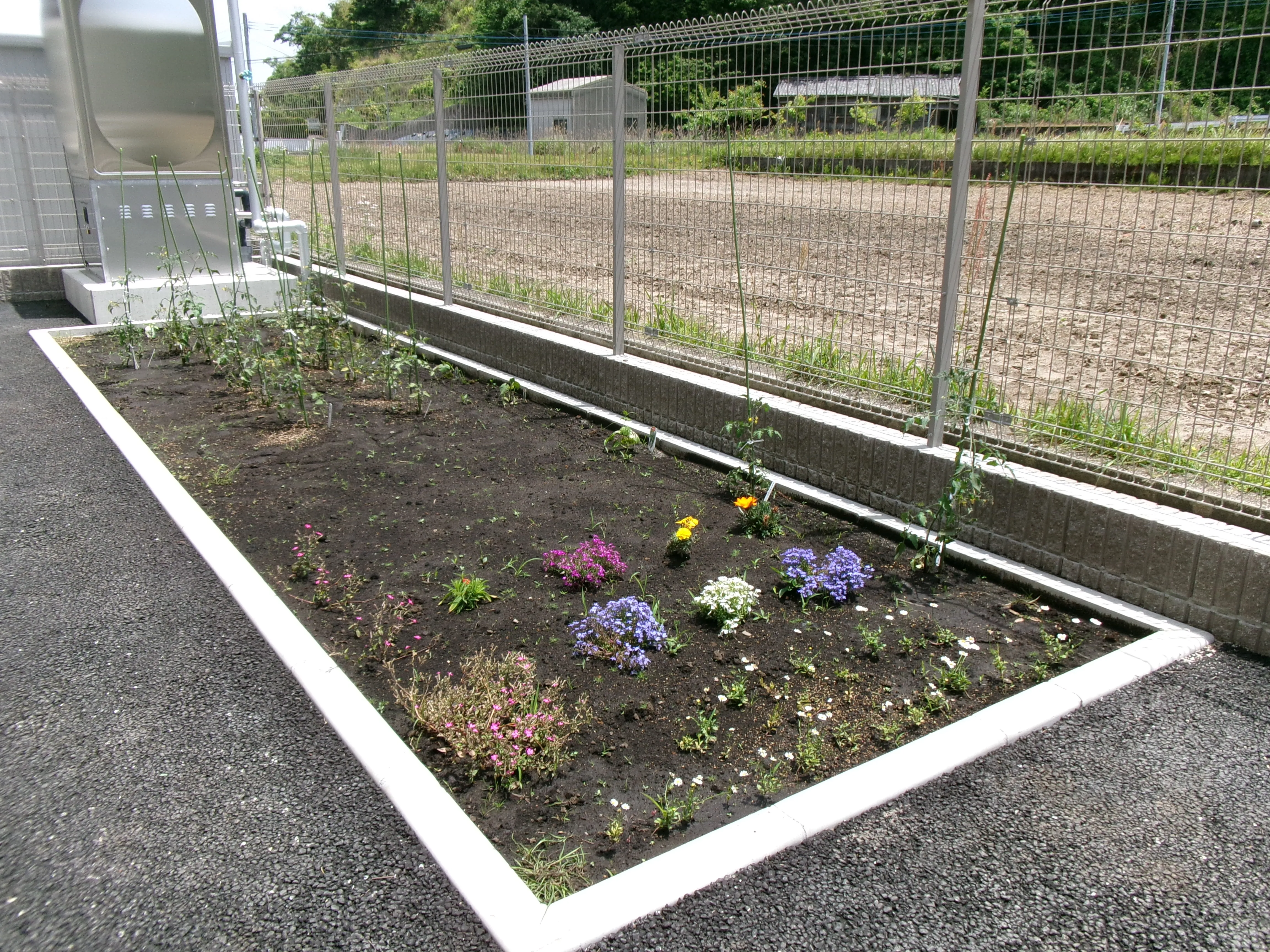 けあビジョンホーム鹿児島の紹介写真 3
