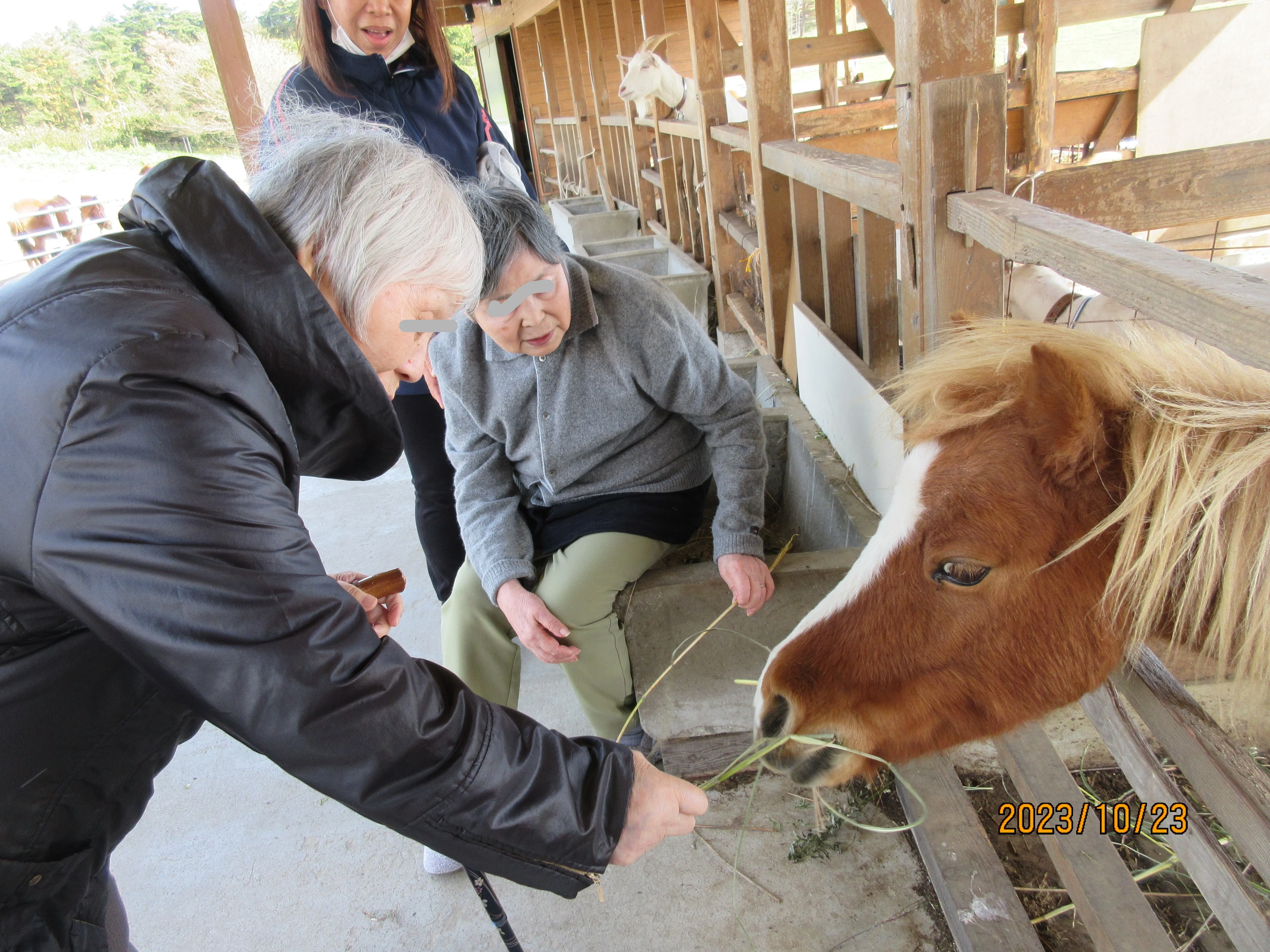 けあビジョンホーム気仙沼の紹介写真 2