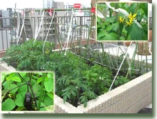 サンベスト上福岡の紹介写真 7