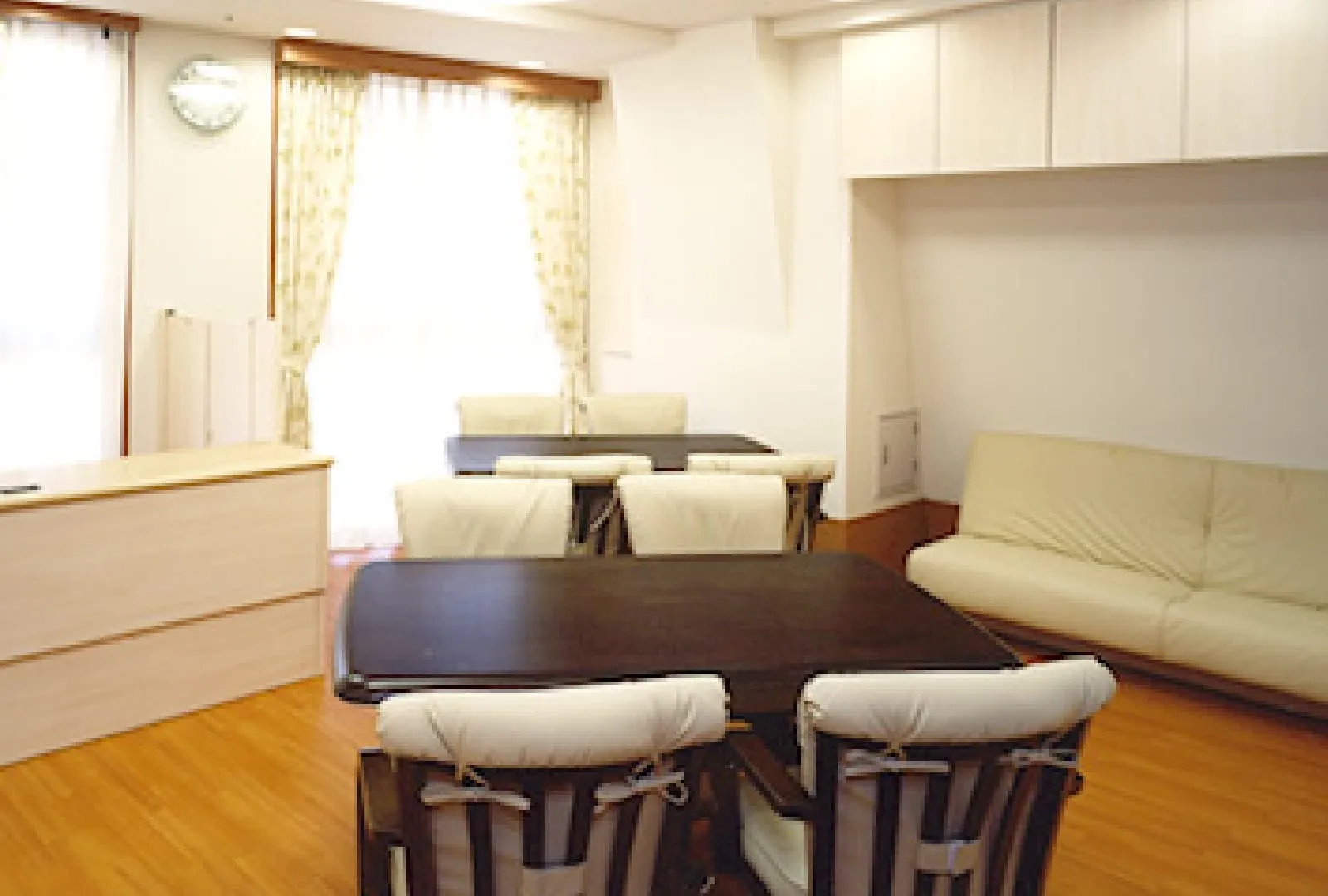 ハビリス・リ・トキの紹介写真 2