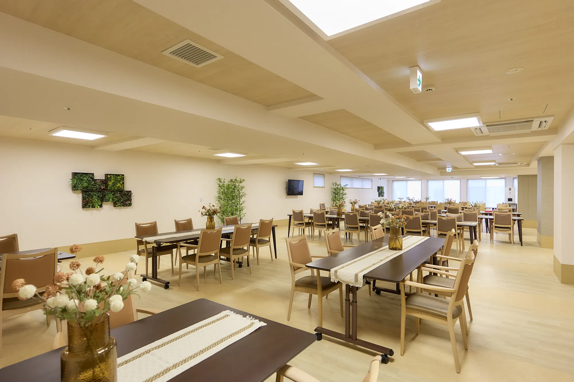 円樹いたばし四葉の紹介写真 6