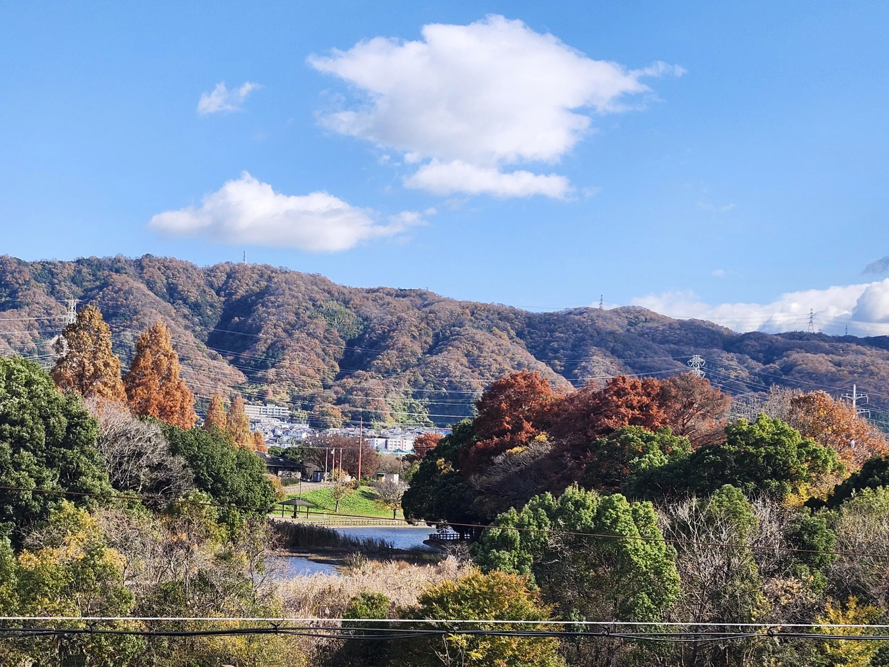 レガート深北緑地の紹介写真 7